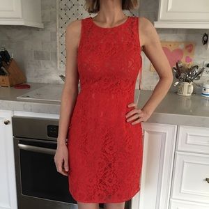 J Crew Dress Freshly Dry Cleaned Lace 00